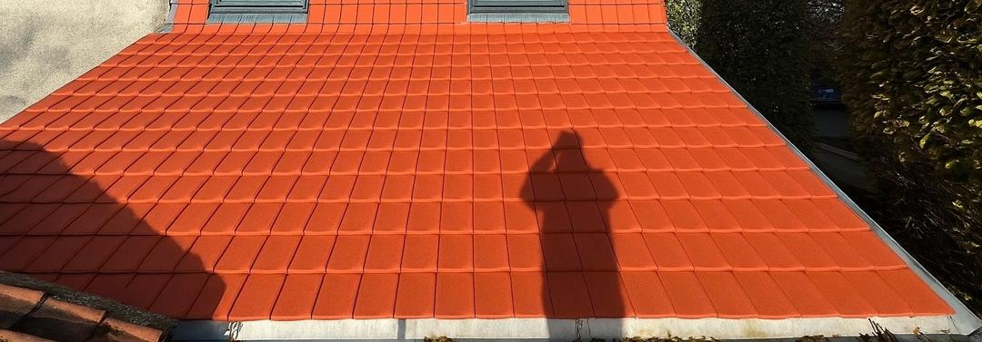 Photo de couverture de GINO PAGNERRE couverture